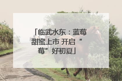 临武水东：蓝莓甜蜜上市 开启“莓”好初夏