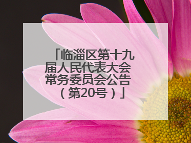 临淄区第十九届人民代表大会常务委员会公告（第20号）