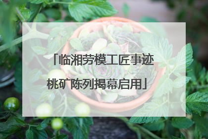 临湘劳模工匠事迹桃矿陈列揭幕启用