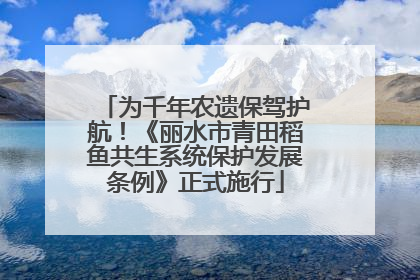 为千年农遗保驾护航！《丽水市青田稻鱼共生系统保护发展条例》正式施行