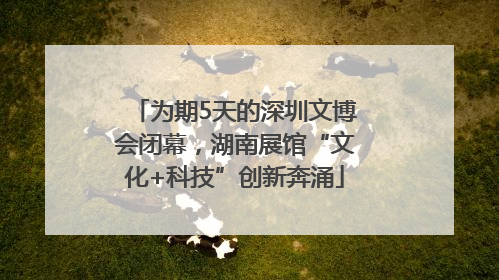 为期5天的深圳文博会闭幕，湖南展馆“文化+科技”创新奔涌