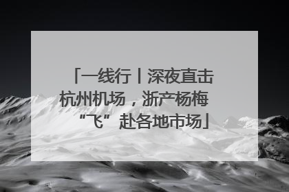 一线行丨深夜直击杭州机场，浙产杨梅“飞”赴各地市场