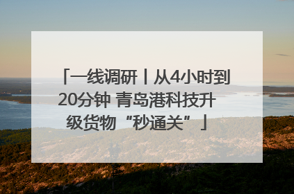 一线调研丨从4小时到20分钟 青岛港科技升级货物“秒通关”