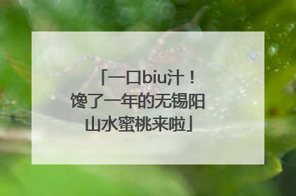 一口biu汁！馋了一年的无锡阳山水蜜桃来啦