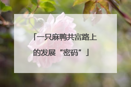 一只麻鸭共富路上的发展“密码”