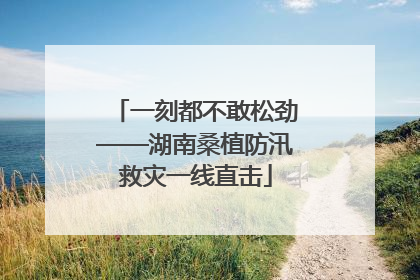 一刻都不敢松劲——湖南桑植防汛救灾一线直击