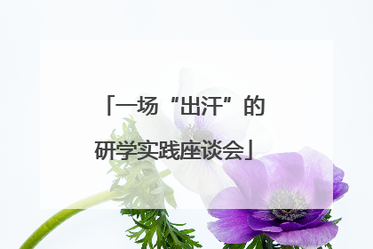 一场“出汗”的研学实践座谈会