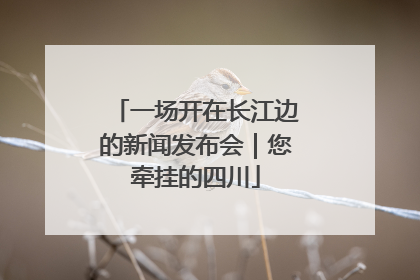 一场开在长江边的新闻发布会｜您牵挂的四川