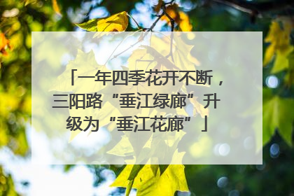 一年四季花开不断，三阳路“垂江绿廊”升级为“垂江花廊”