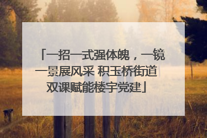 一招一式强体魄，一镜一景展风采 积玉桥街道双课赋能楼宇党建