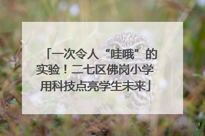 一次令人“哇哦”的实验！二七区佛岗小学用科技点亮学生未来