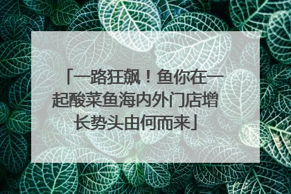 一路狂飙！鱼你在一起酸菜鱼海内外门店增长势头由何而来