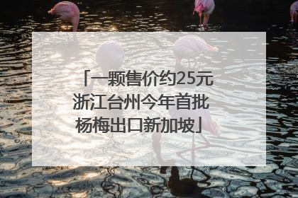 一颗售价约25元 浙江台州今年首批杨梅出口新加坡