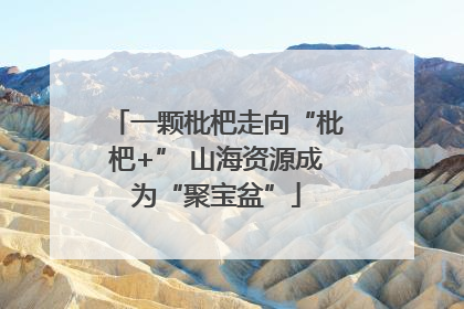 一颗枇杷走向“枇杷+” 山海资源成为“聚宝盆”