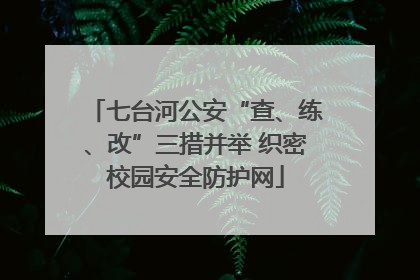 七台河公安“查、练、改”三措并举 织密校园安全防护网