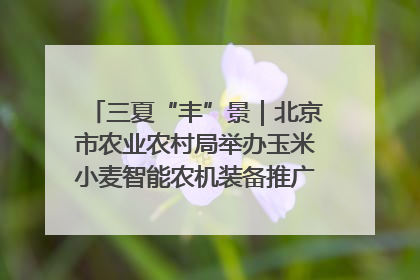 三夏“丰”景｜北京市农业农村局举办玉米小麦智能农机装备推广“田间日”活动
