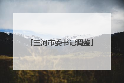 三河市委书记调整