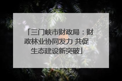 三门峡市财政局：财政林业协同发力 共促生态建设新突破