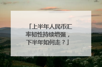 上半年人民币汇率韧性持续增强，下半年如何走？