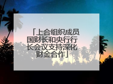 上合组织成员国财长和央行行长会议支持深化财金合作