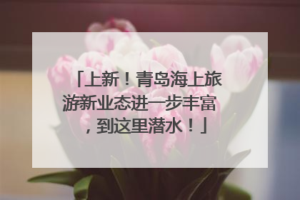 上新！青岛海上旅游新业态进一步丰富，到这里潜水！