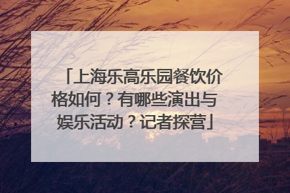 上海乐高乐园餐饮价格如何？有哪些演出与娱乐活动？记者探营