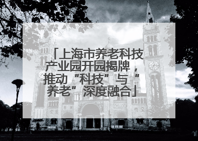 上海市养老科技产业园开园揭牌，推动“科技”与“养老”深度融合