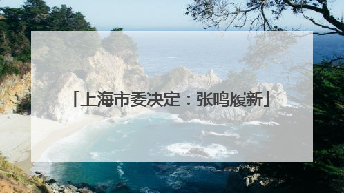 上海市委决定：张鸣履新