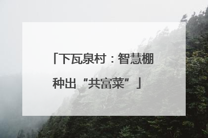 下瓦泉村：智慧棚种出“共富菜”