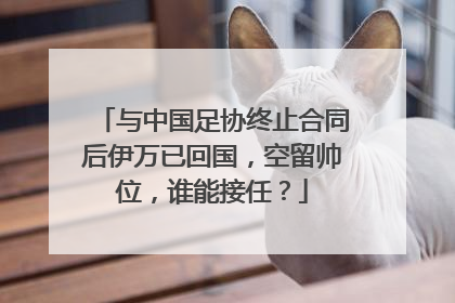 与中国足协终止合同后伊万已回国，空留帅位，谁能接任？