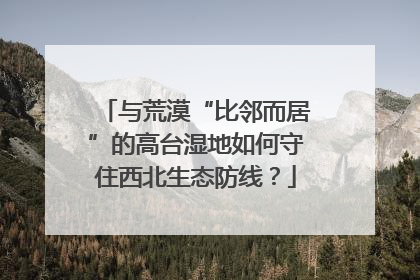 与荒漠“比邻而居”的高台湿地如何守住西北生态防线？