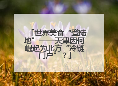 世界美食“登陆地”——天津因何崛起为北方“冷链门户”？