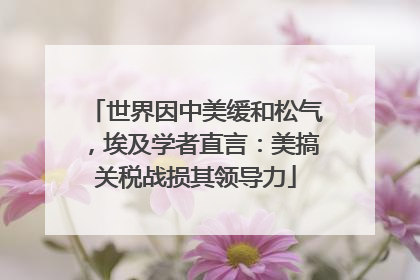 世界因中美缓和松气，埃及学者直言：美搞关税战损其领导力