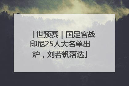 世预赛｜国足客战印尼25人大名单出炉，刘若钒落选