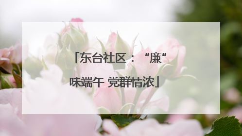 东台社区：“廉”味端午 党群情浓