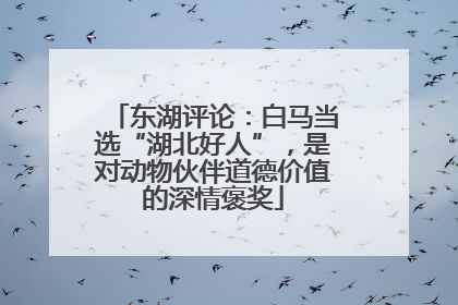 东湖评论：白马当选“湖北好人”，是对动物伙伴道德价值的深情褒奖