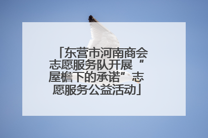 东营市河南商会志愿服务队开展“屋檐下的承诺”志愿服务公益活动
