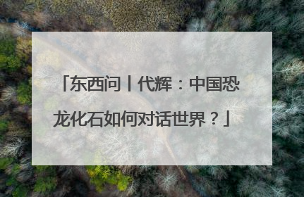 东西问丨代辉：中国恐龙化石如何对话世界？