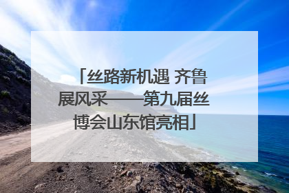 丝路新机遇 齐鲁展风采——第九届丝博会山东馆亮相
