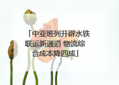 中亚班列开辟水铁联运新通道 物流综合成本降四成
