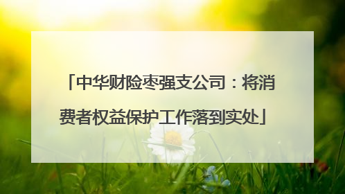 中华财险枣强支公司：将消费者权益保护工作落到实处