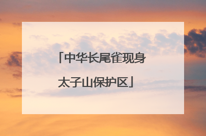 中华长尾雀现身太子山保护区