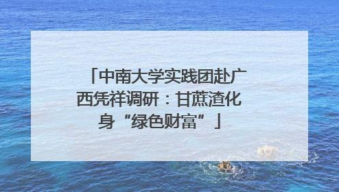 中南大学实践团赴广西凭祥调研：甘蔗渣化身“绿色财富”