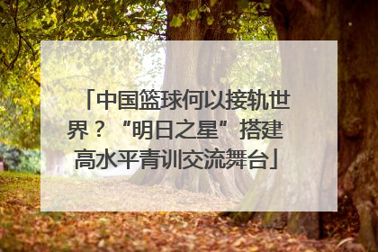 中国篮球何以接轨世界？“明日之星”搭建高水平青训交流舞台
