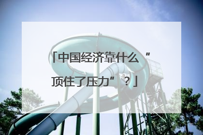 中国经济靠什么“顶住了压力”？