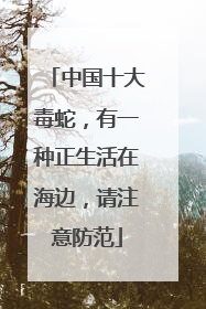 中国十大毒蛇，有一种正生活在海边，请注意防范