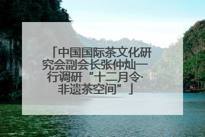 中国国际茶文化研究会副会长张仲灿一行调研“十二月令·非遗茶空间”