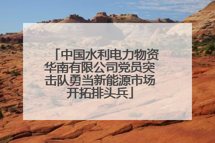 中国水利电力物资华南有限公司党员突击队勇当新能源市场开拓排头兵