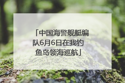 中国海警舰艇编队6月6日在我钓鱼岛领海巡航