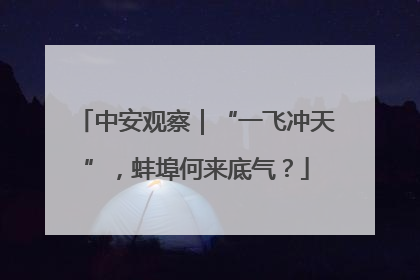 中安观察｜“一飞冲天”，蚌埠何来底气？